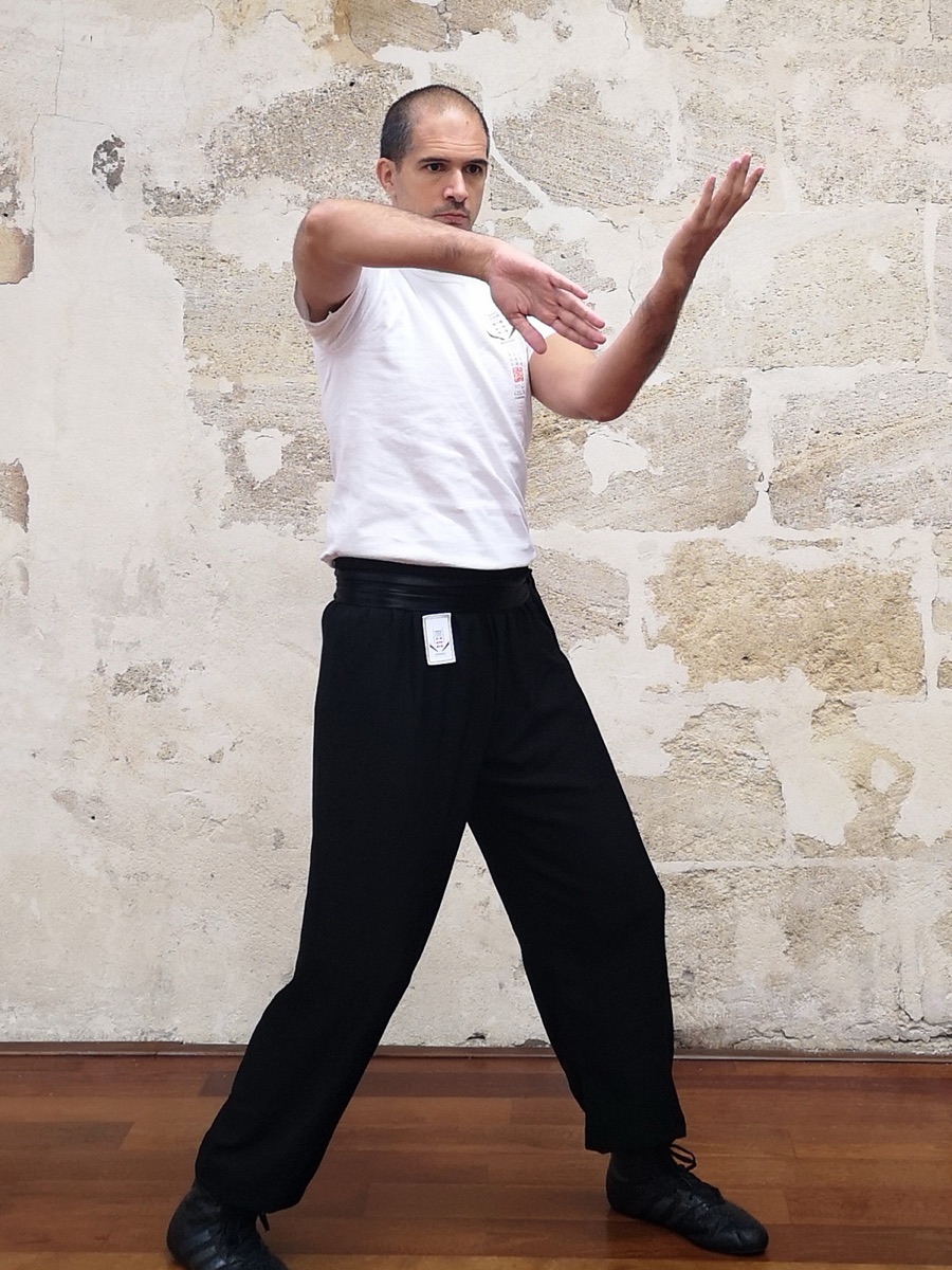 Cover of the 12-week beginner Wing Chun course