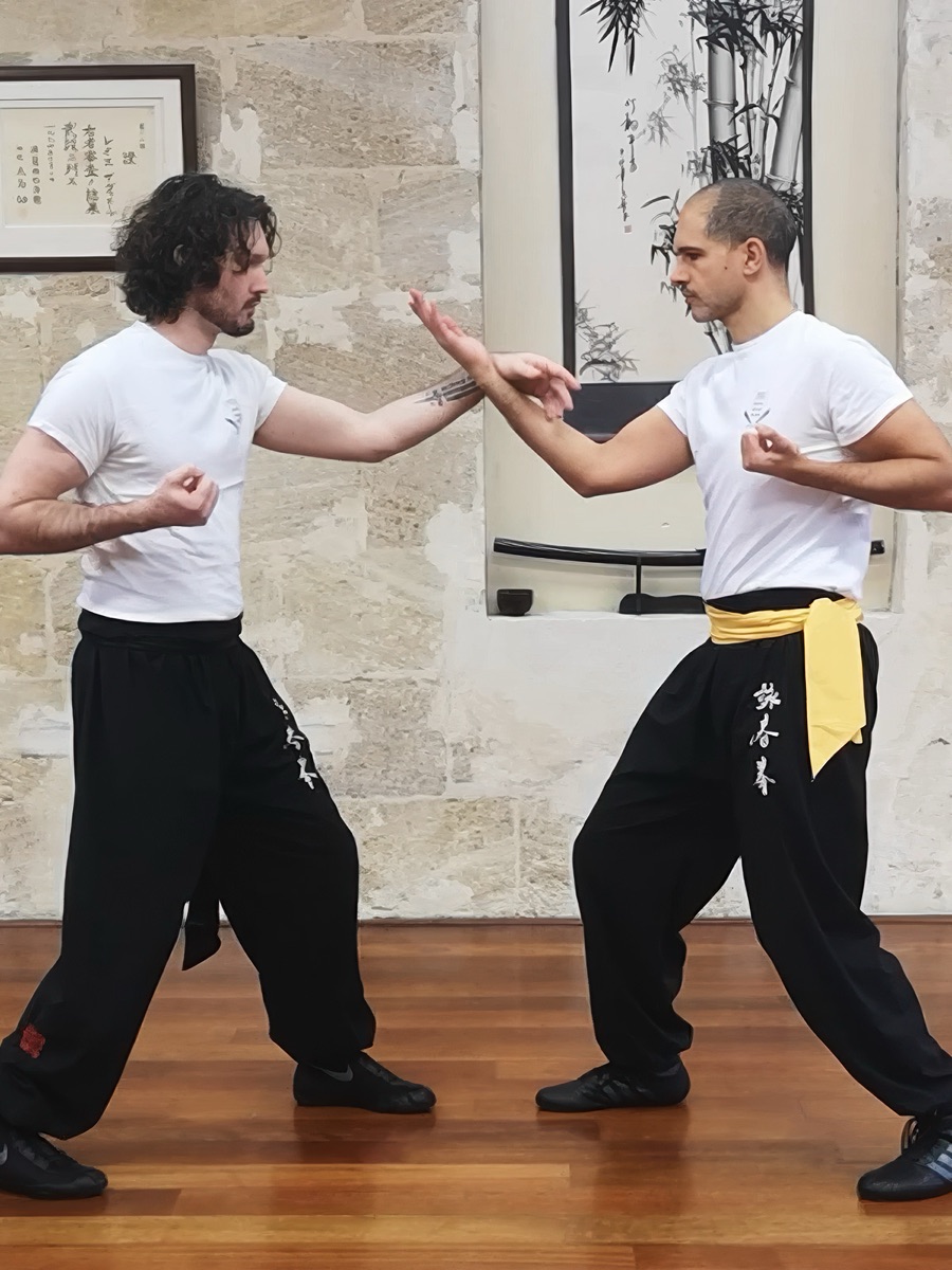 Cover of the Chi Sao course — 21 exercises for two