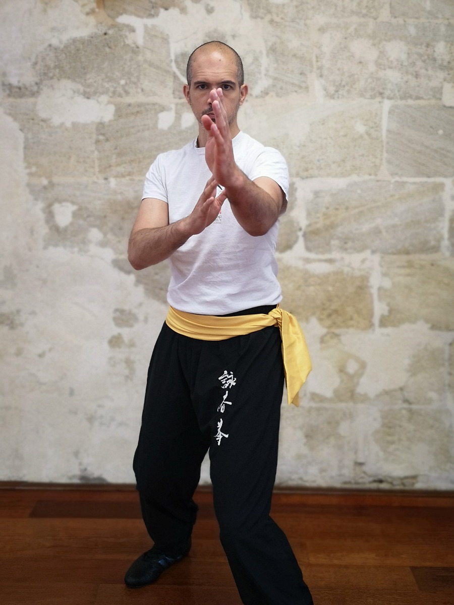 Cover of the book Wing Chun Kungfu, basic techniques by Sifu Josse Delaune
