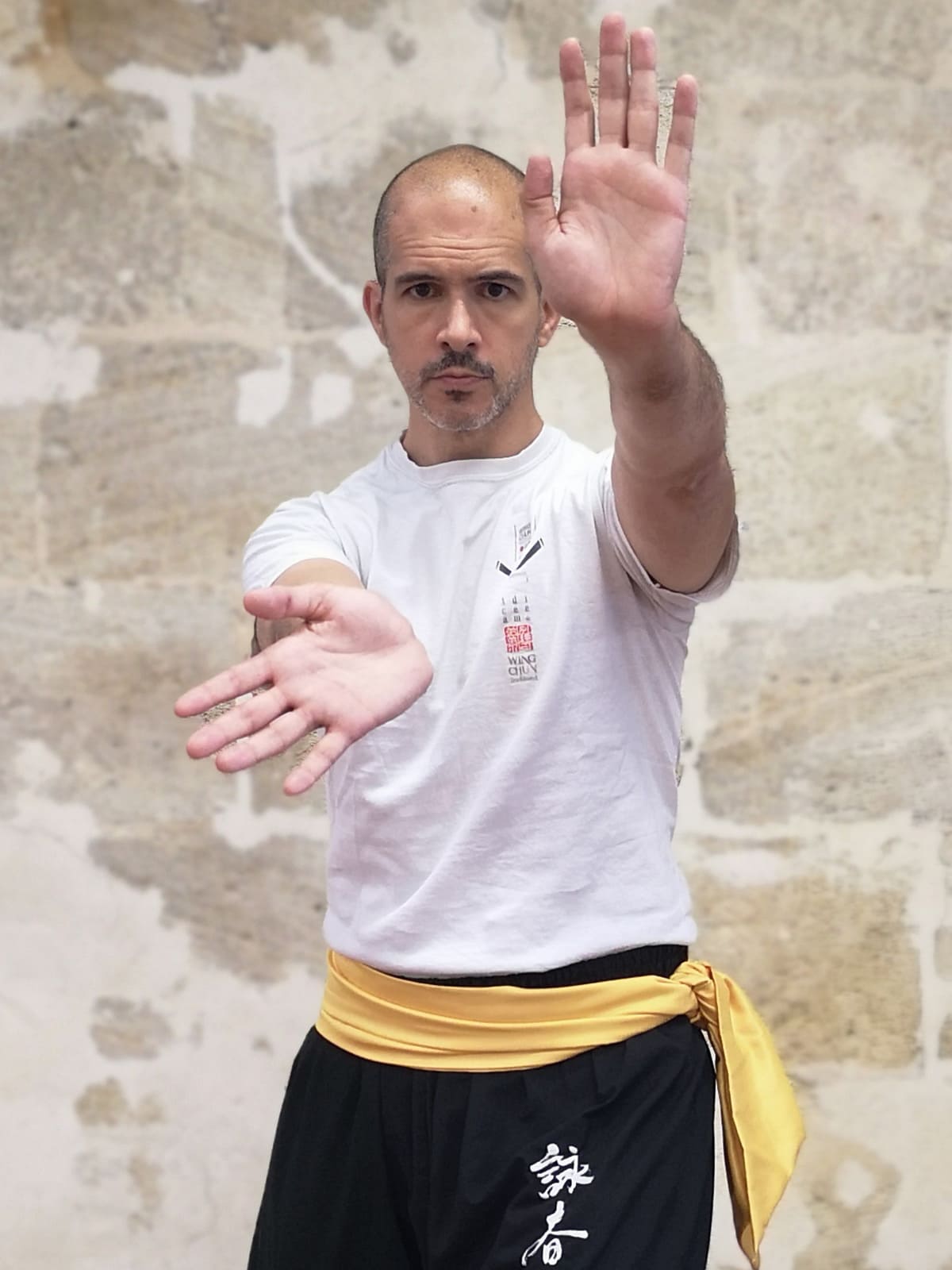 Portrait — Sifu Josse Delaune